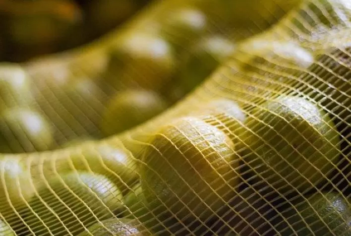 Consumo de laranja cai na UE