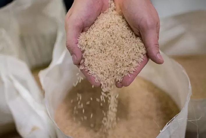 Preços domésticos do arroz voltam a subir com oferta limitada