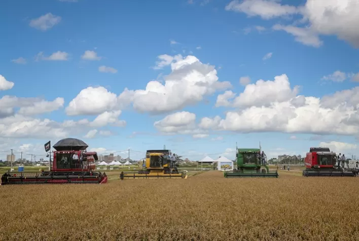 Colheita do arroz é aberta oficialmente com grande presença dos produtores