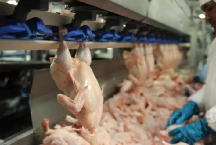 Carne de frango: embarques da 3ª semana de fevereiro dão novo alento às exportações do mês