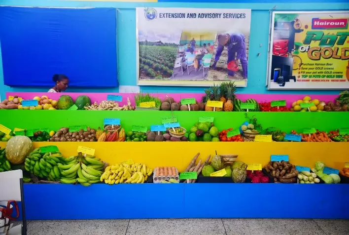 A agricultura de São Vicente e Granadinas se recuperou após as erupções vulcânicas e suas exportações iniciaram o ano em expansão
