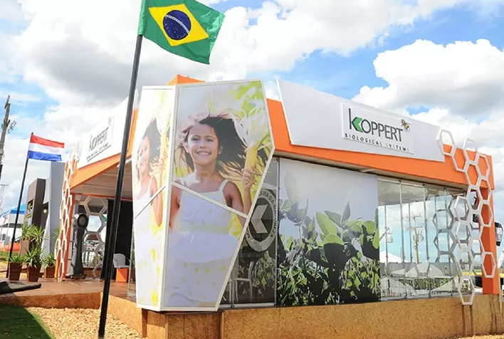 Koppert participa do Show Tecnológico Verão com manejo biológico para cigarrinha-do-milho e mofo-branco