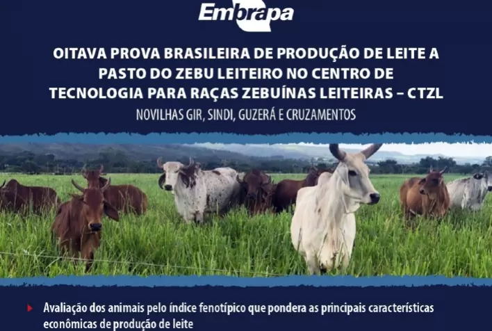 8ª Prova de Leite a Pasto da Embrapa Cerrados abre inscrições em junho; novilhas devem ser inseminadas ou cobertas entre 1º de março e 4 de abril