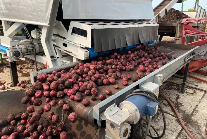 Como a tecnologia da Tomra ajuda agricultores e produtores de batata a trabalhar de forma mais inteligente