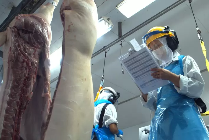 Frigorífico do PR  vai exportar carne suína para Singapura