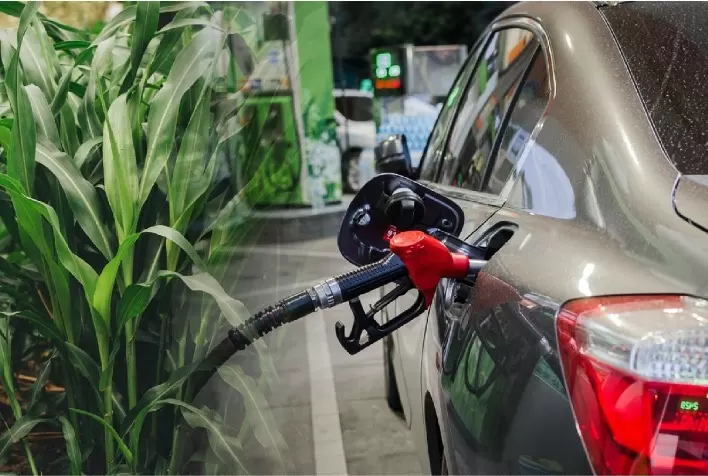Governo aposta em biocombustíveis como opção ao petróleo