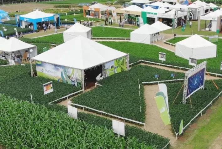 ATTO Sementes apresenta Híbrido de Milheto Forrageiro no 25º Show Tecnológico Verão