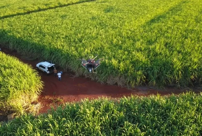 BP Bunge Bioenergia amplia uso de biofertilizantes em canaviais
