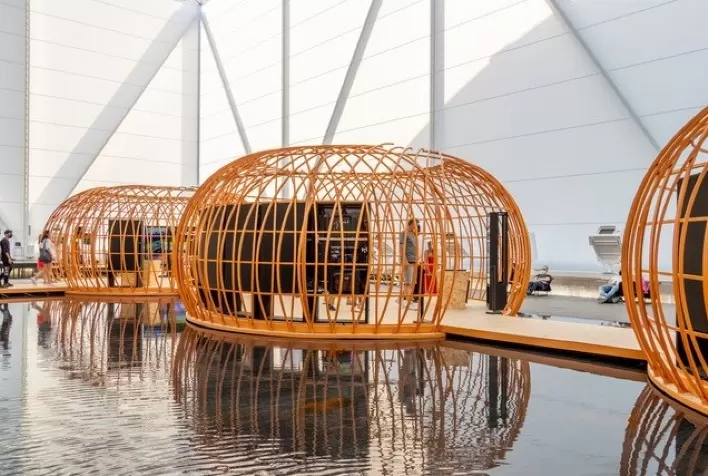 Expo2020Dubai: exposição no Pavilhão Brasil mostra evolução do agronegócio no País