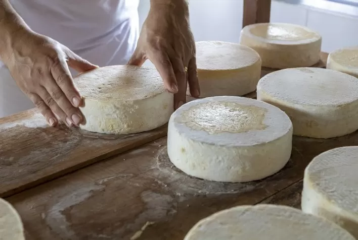 Decreto que regulamenta a produção artesanal em São Paulo teve contribuição da FAESP