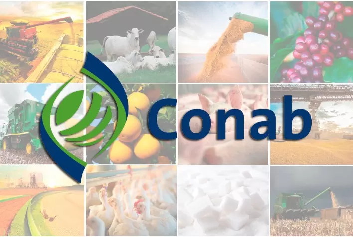 Conab atualiza custos de produção para principais culturas de grãos