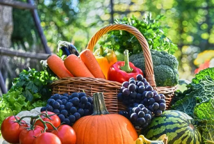 Hortifruti: Impactos das chuvas no Sudeste
