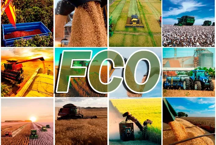 Conselho de Desenvolvimento do Estado aprova R$ 42,9 milhões em financiamentos do FCO Rural