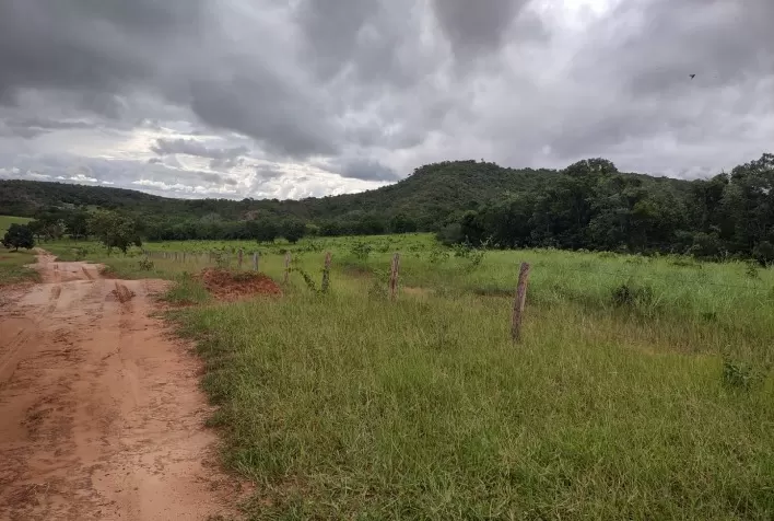 Áreas de duas fazendas vão a leilão em Mato Grosso do Sul, totalizando 3.167 hectares