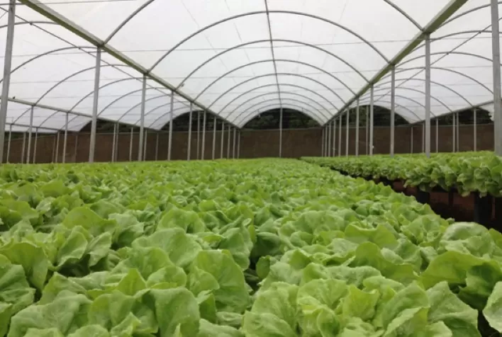 Produção garantida e protegida durante os 365 dias