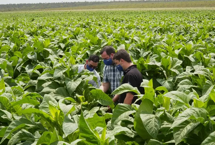 Philip Morris Brasil investe em programas voltados à eficiência produtiva e conservação do meio ambiente