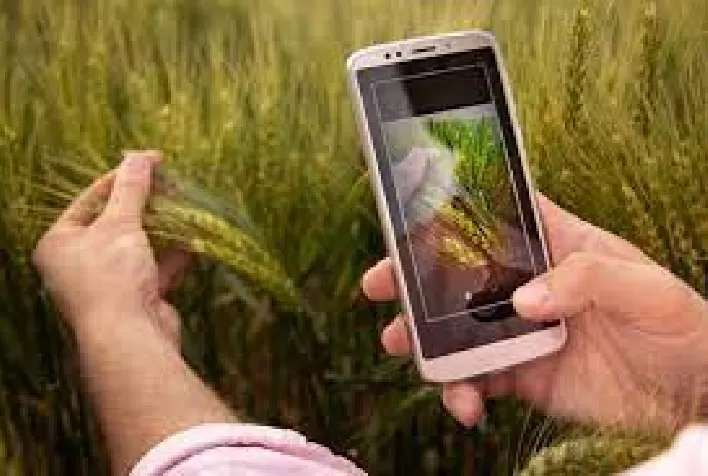 Drakkar lança “bússola de resultados” para ajudar agricultores a tomarem melhores decisões