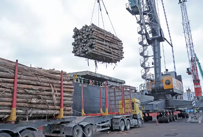 Porto de Imbituba realiza maior embarque de madeiras do país