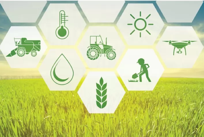 Importância estratégica do seguro no agronegócio será um dos temas presentes na Expodireto Cotrijal (RS)
