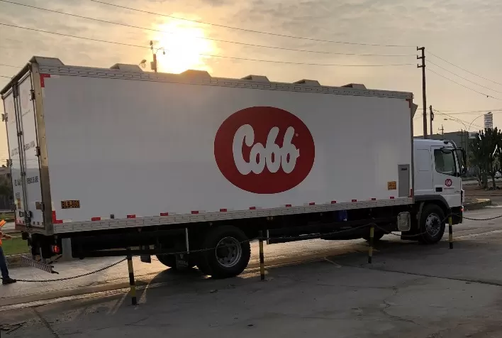 Cobb-Vantress inicia exportação de pintos de um dia da unidade no Peru