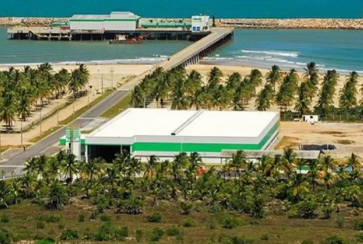 Radix expande atuação no setor de celulose e cria plano de desenvolvimento tecnológico para Veracel