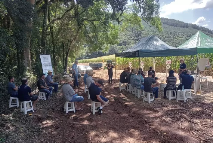 Dia de Campo discute qualidade da silagem de milho com produtores de leite do meio oeste