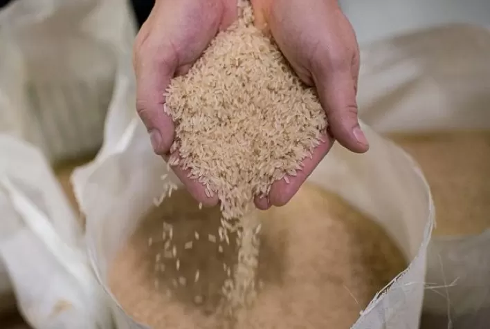 Firmeza nos preços do arroz