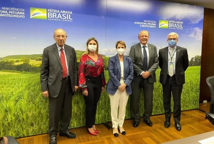 Conflito entre Rússia e Ucrânia reforça a necessidade de ampliar a produção de trigo em solo brasileiro