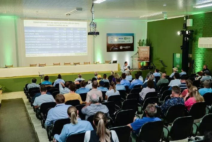 Trigo e culturas de inverno se apresentam como opção em cenário desafiador