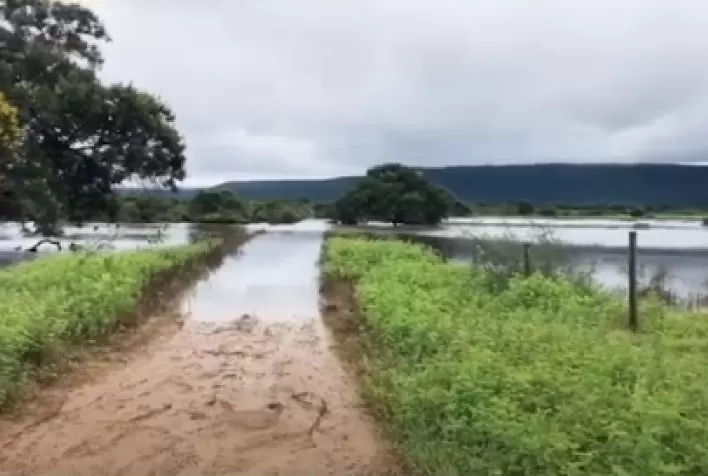 CMN atende CNA com linha de crédito emergencial e prorrogação de dívidas de produtores afetados pelas chuvas