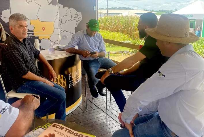 Qualidade da semente ainda é a principal dúvida do produtor