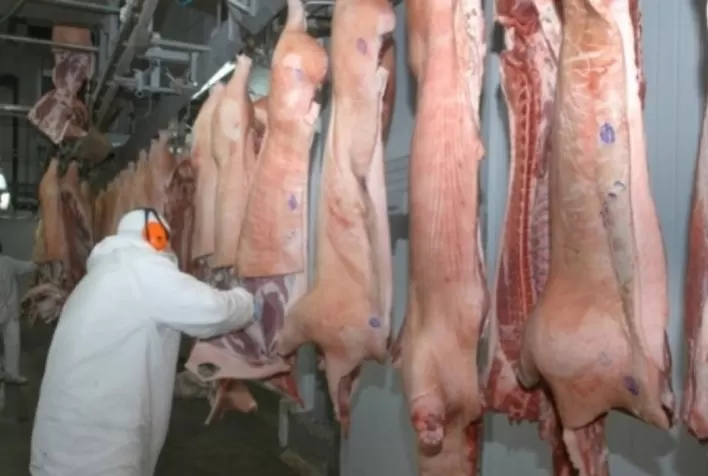 Suinocultura está apreensiva com o conflito no leste europeu