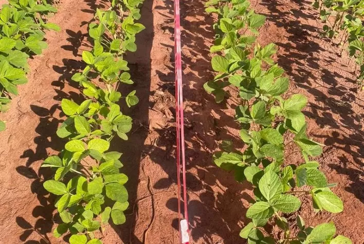 FMC reforça a importância do manejo correto na soja para resultado com produtividade, durante o Rally da Soja