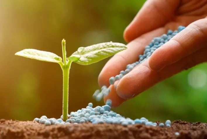 Governo apresenta plano com medidas para aumentar produção nacional de fertilizantes até 2050