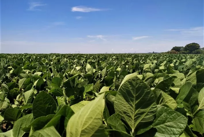 ConnectFarm é selecionada para participar do Programa Soja Sustentável do Cerrado