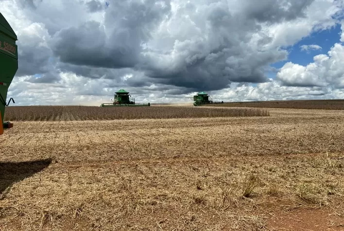 Colheita de soja atinge 64% da área no Brasil; plantio de milho, 94%, diz AgRural
