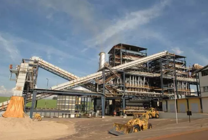 Energia: Bagaço de cana ajuda País no maior avanço em cogeração desde 2015