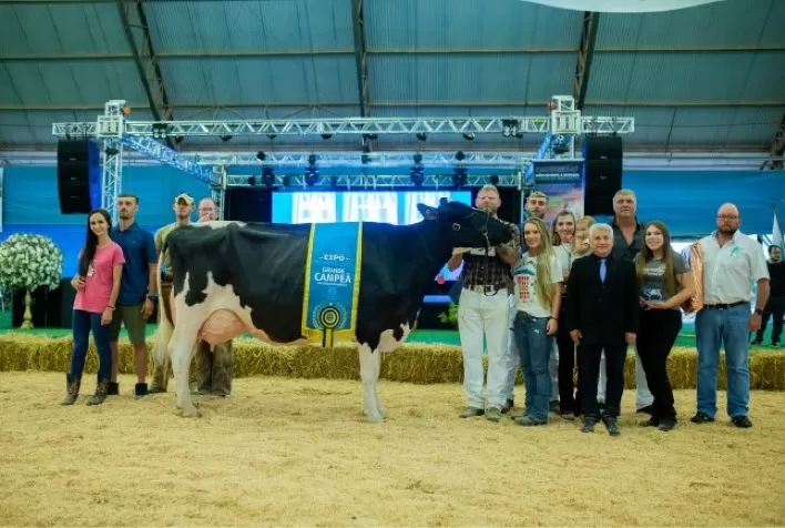 ExpoCastrolanda reforça potencial da cadeia leiteira