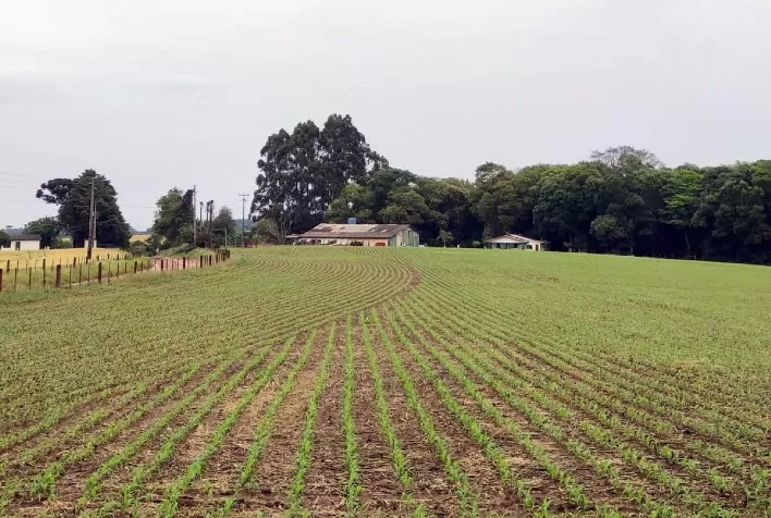 Sistema integrado permite ao agricultor controle total do plantio