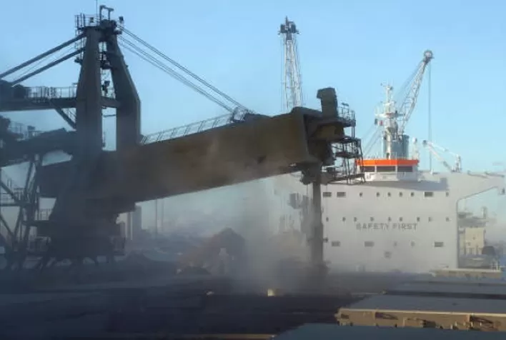 Governo argentino pode limitar exportações de trigo, milho e girassol