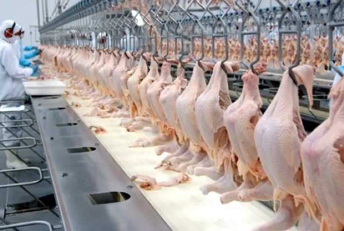 Em 2021, Paraná respondeu por um terço da carne de frango inspecionada produzida no Brasil