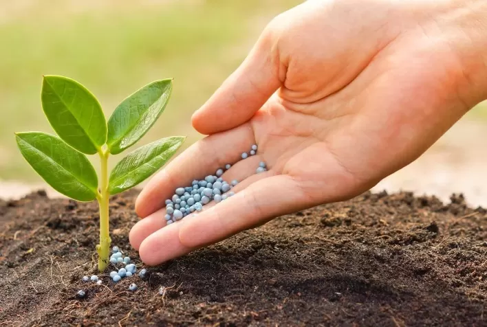 Como economizar fertilizantes a partir das interações microbianas no solo