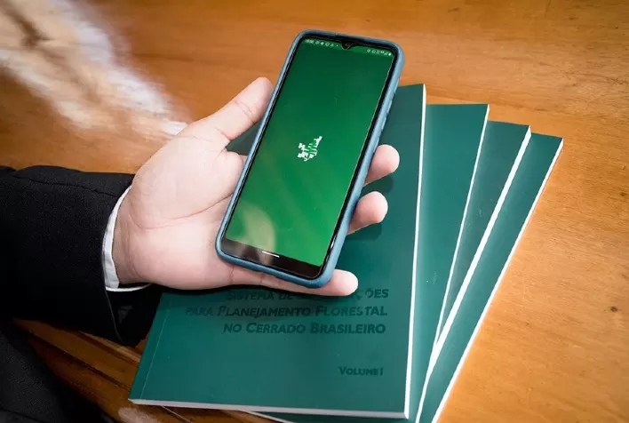 Plataforma on-line identifica gratuitamente espécies florestais com aptidão ao cerrado