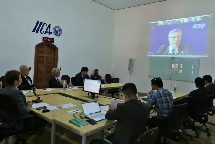 REUNIÃO COM FAO: Assim como alimentos, fertilizantes devem ser excluídos de regime de sanções, diz ministra