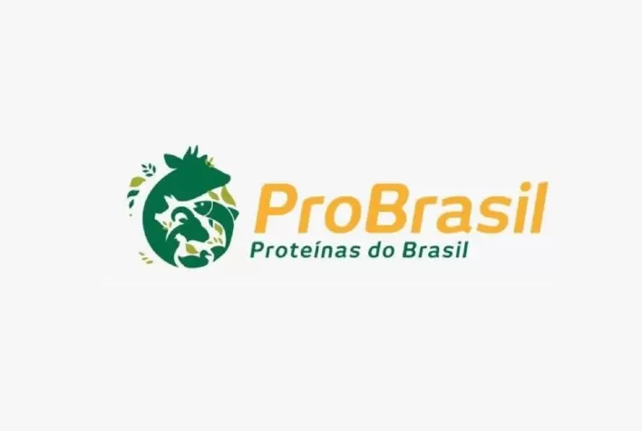 ProBrasil se encontra com o Ministro da Infraestrutura, Tarcísio Gomes de Freitas