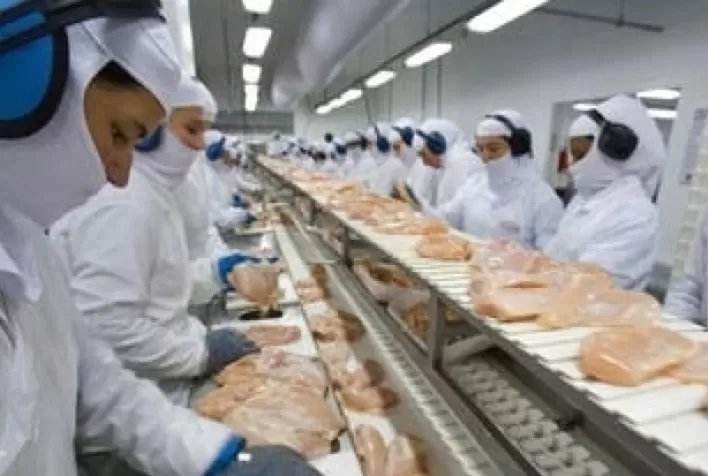Carne de frango: com a guerra, quadro de importadores pode sofrer alterações radicais