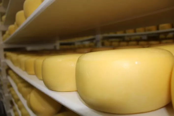 Setor lácteo rechaça isenção de queijo importado