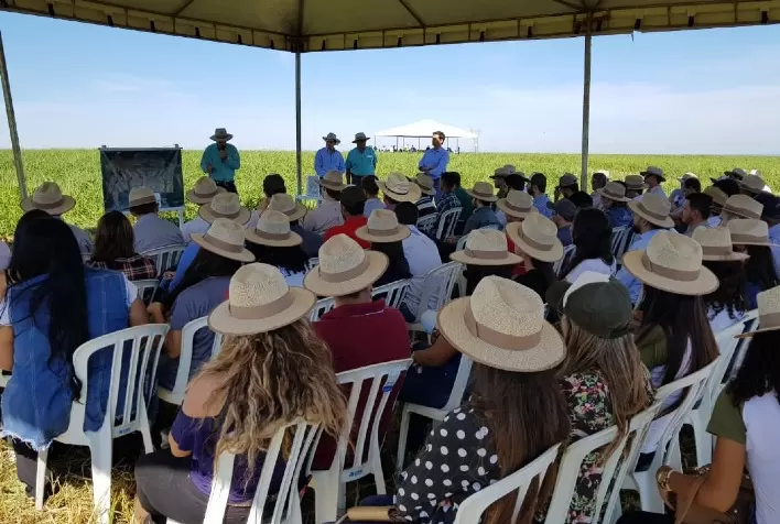 ILP: IV Encontro Mato-grossense de Integração Lavoura-Pecuária acontece em Rondonópolis