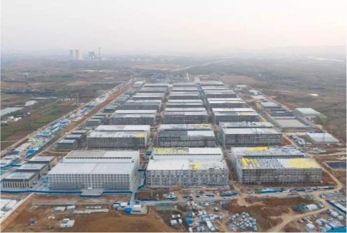 Criadores de suínos da China enfrentam longo trabalho em troca de lucro