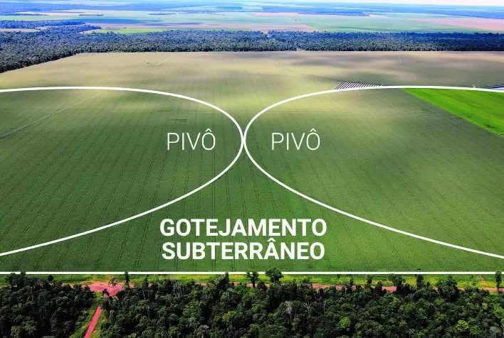 Público da Tecnoshow 2022 terá acesso a novidades e soluções em irrigação por gotejamento da Netafim